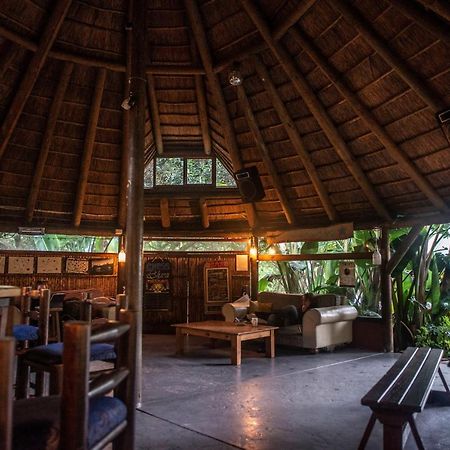 Fairy Knowe Backpackers Lodge Wilderness Ngoại thất bức ảnh