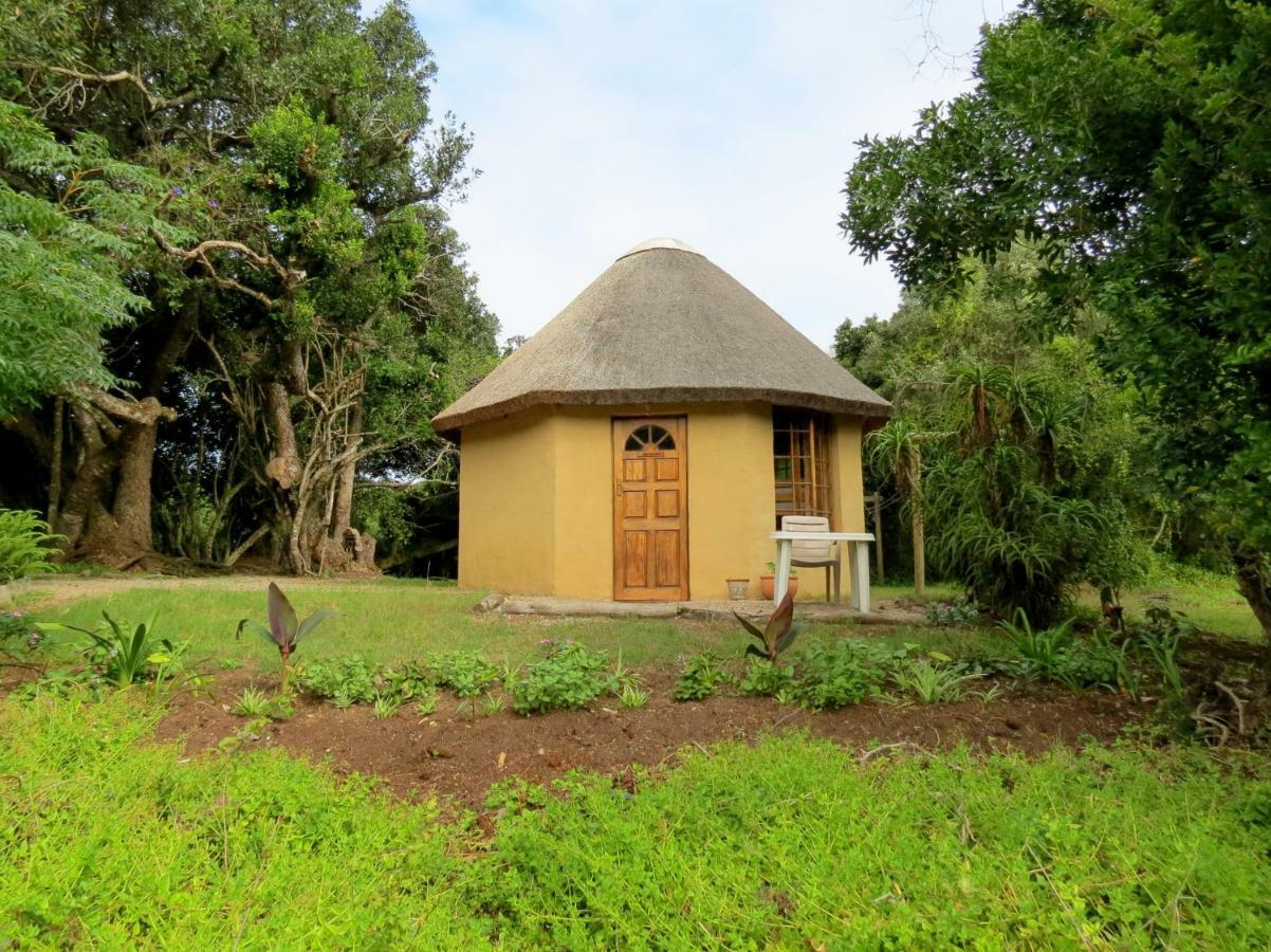 Fairy Knowe Backpackers Lodge Wilderness Ngoại thất bức ảnh