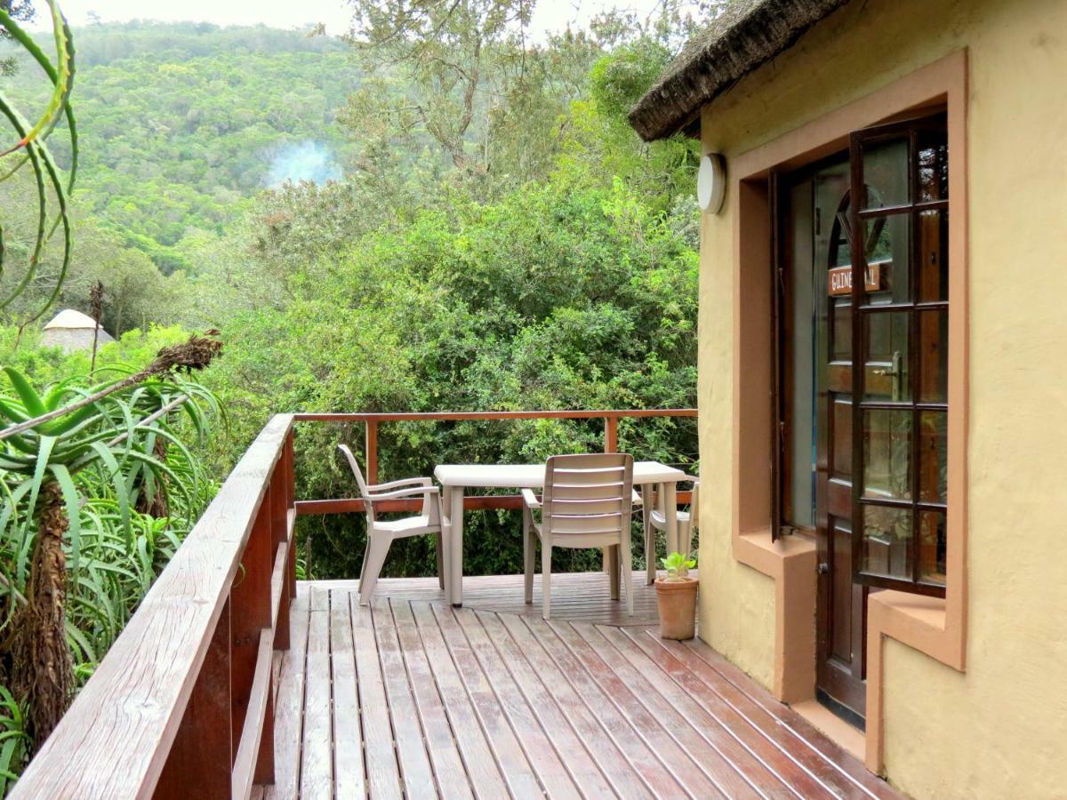 Fairy Knowe Backpackers Lodge Wilderness Ngoại thất bức ảnh